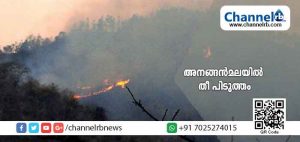 Read more about the article 20 ഹെക്ടറോളം വനം വകുപ്പ് ഭൂമിയും ഏകദേശം അഞ്ച് ഹെക്ടറോളം സ്വകാര്യ ഭൂമിയും കത്തിയമർന്നു; അനങ്ങന്‍മലയില്‍ രണ്ട് മാസത്തിനിടെയുണ്ടായ രണ്ടാമത്തെ തീപിടുത്തം; കാട്ടുതീയല്ലന്ന് വനം വകുപ്പ്