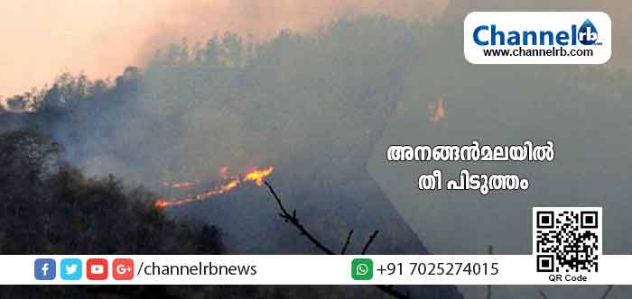 You are currently viewing 20 ഹെക്ടറോളം വനം വകുപ്പ് ഭൂമിയും ഏകദേശം അഞ്ച് ഹെക്ടറോളം സ്വകാര്യ ഭൂമിയും കത്തിയമർന്നു; അനങ്ങന്‍മലയില്‍ രണ്ട് മാസത്തിനിടെയുണ്ടായ രണ്ടാമത്തെ തീപിടുത്തം; കാട്ടുതീയല്ലന്ന് വനം വകുപ്പ്