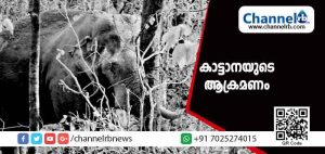 Read more about the article കാട്ടാനയുടെ ആക്രമണത്തില്‍ ശബരിമല തീര്‍ത്ഥാടകന് ദാരുണാന്ത്യം; സംഭവം കാനന പാതയില്‍