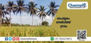 Read more about the article അന്യം നിന്നുപോകുന്ന ഗുണമേന്മയുള്ള നെല്‍വിത്തുകളെ സംരക്ഷിക്കാന്‍ എല്ലാവരും കൈകോർത്തു; പൈതൃകം നെല്‍വിത്ത് ഗ്രാമം പദ്ധതിയെ നെഞ്ചോട് ചേര്‍ത്ത പിലിക്കോടിനെ കുറിച്ച്..