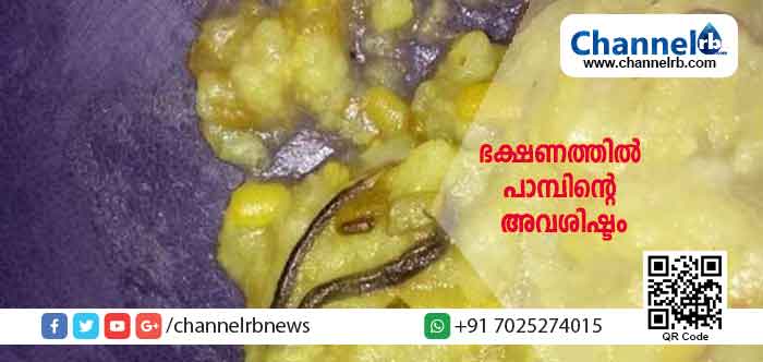 You are currently viewing സ്കൂളിൽ ഉച്ചഭക്ഷണം വിളമ്പുമ്പോൾ കിട്ടിയത് പാമ്പിൻ്റെ അവശിഷ്ടം; ഉടൻ ഭക്ഷണ വിതരണം നിർത്തിവെച്ചതിനാൽ വലിയ ദുരന്തം ഒഴിവായി; അന്വേഷണത്തിന് ഉത്തരവിട്ട് വിദ്യാഭ്യാസ വകുപ്പ്