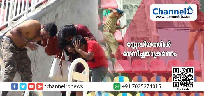 You are currently viewing കളി നടക്കുന്നതിനിടെ സ്റ്റേഡിയത്തിലെ മുകൾ ഗാലറിയിൽ കൂടുകൂട്ടിയ തേനീച്ചകൾ ആക്രമണം തുടങ്ങി;  ഗ്രീന്‍ഫീല്‍ഡ് സ്റ്റേഡിയത്തിലെ തേനീച്ചയാക്രമണത്തിൽ സ്ത്രീകളും കുട്ടികളുമടക്കം നിരവധിപേർക്ക് പരിക്ക്