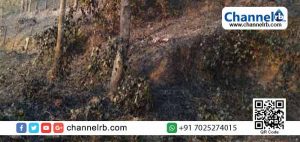 Read more about the article മലയോരത്തുണ്ടായ തീപിടുത്തം; കത്തിനശിച്ചത് 30 ഏക്കറോളം കൃഷി ഭൂമി