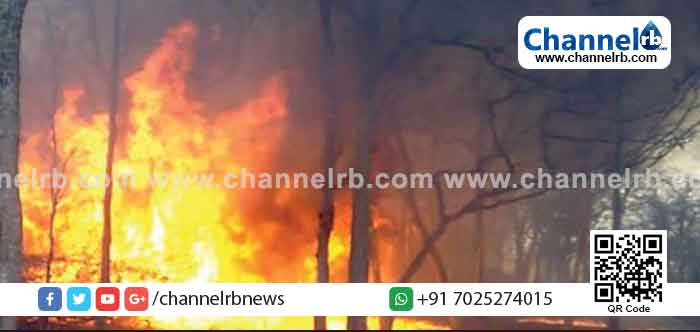 Read more about the article വയനാട് വൻ കാട്ടുതീ: ജനവാസപ്രദേശത്തേക്ക് പടരാതിരിക്കാൻ മുൻകരുതൽ നടപടി; ഹെക്ടർ കണക്കിന് വനം കത്തിയമർന്നു