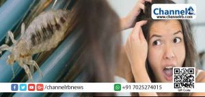 Read more about the article ഒരിക്കലെങ്കിലും പേനിന്‍റെ ശല്യം അനുഭവപ്പെടാത്തവരുണ്ടോ? നിങ്ങളുടെ തലയിൽ ജീവിക്കുന്ന പേനിനെ പറ്റി കുറച്ച് കാര്യങ്ങൾ