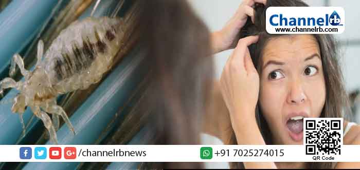 You are currently viewing ഒരിക്കലെങ്കിലും പേനിന്‍റെ ശല്യം അനുഭവപ്പെടാത്തവരുണ്ടോ? നിങ്ങളുടെ തലയിൽ ജീവിക്കുന്ന പേനിനെ പറ്റി കുറച്ച് കാര്യങ്ങൾ