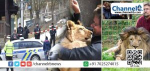 Read more about the article വീട്ടില്‍ വളര്‍ത്തിയിരുന്ന സിംഹങ്ങള്‍ യുവാവിനെ കടിച്ചുകൊന്നു; സിംഹങ്ങളെ വളര്‍ത്തിയിരുന്നത് നിയമപരമായ അനുമതി ഇല്ലാതെ