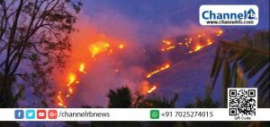 Read more about the article അട്ടപ്പാടിയിലെ മല്ലീശ്വരൻമുടിയിൽ കാട്ടുതീ: അണയ്ക്കാന്‍ വനം വകുപ്പ് ഹെലികോപ്റ്റർ സഹായം തേടി