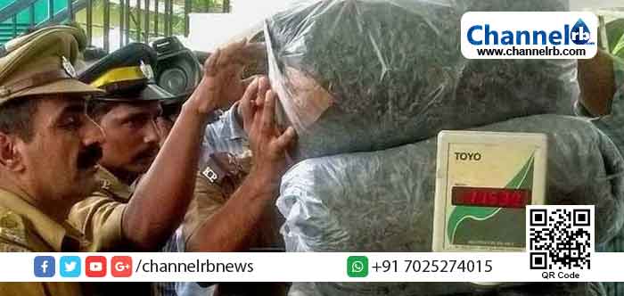 You are currently viewing കഞ്ചാവ് കടത്താന്‍ ലിഫ്റ്റ്‌ ചോദിച്ചത് ഷാഡോ പോലീസ് സംഘത്തിന്‍റെ വാഹനത്തിന് ; യുവാവ് പിടിയില്‍