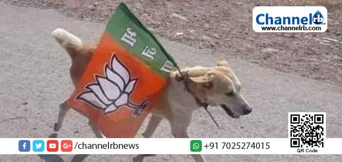 Read more about the article ‘മോഡിക്ക്‌ വോട്ട്‌ ചെയ്യൂ രാജ്യത്തെ രക്ഷിക്കൂ’ എന്ന മുദ്രാവാക്യവുമായി തെരഞ്ഞെടുപ്പ്‌ ദിനത്തില്‍ പോളിംഗ്‌ ബൂത്തില്‍ നായ; ഒടുവില്‍ പോലീസ് പിടിവീണു