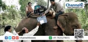 Read more about the article മാസശമ്പളം  ഉള്‍പ്പെടെ സര്‍ക്കാര്‍ ജീവനക്കാര്‍ക്കുള്ള എല്ലാ ആനുകൂല്യങ്ങളുമായി ആനകള്‍ക്കും തെരഞ്ഞെടുപ്പ് ഡ്യൂട്ടി