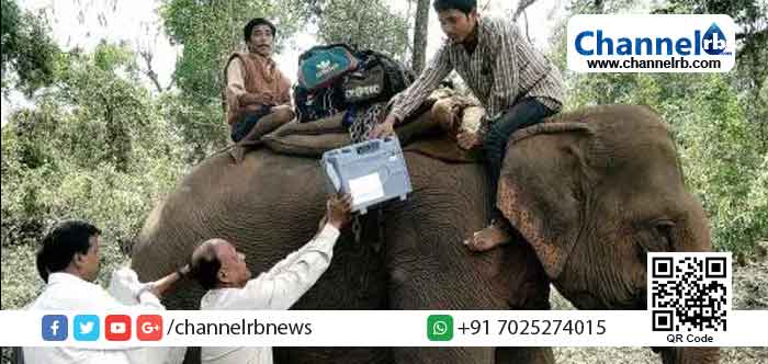 You are currently viewing മാസശമ്പളം  ഉള്‍പ്പെടെ സര്‍ക്കാര്‍ ജീവനക്കാര്‍ക്കുള്ള എല്ലാ ആനുകൂല്യങ്ങളുമായി ആനകള്‍ക്കും തെരഞ്ഞെടുപ്പ് ഡ്യൂട്ടി