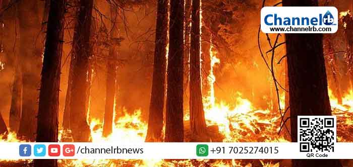 Read more about the article ആനമുടിയില്‍ ദേശീയോദ്യാനത്തിന് സമീപം കാട്ടുതീ പടരുന്നു; 50 ഹെക്ടര്‍ വനവും അന്‍പതോളം വീടുകളും കത്തിനശിച്ചു