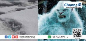 Read more about the article ഹി​മാ​ല​യ​ൻ മ​ല​നി​ര​ക​ളി​ൽ നൂറ്റാണ്ടുകളായി ചു​റ്റി​ത്തി​രി​യു​ന്ന ‘യെ​തി’യുടെ കാല്‍പ്പാടുകള്‍ കണ്ടെത്തി; അ​വ​കാ​ശ​വാ​ദ​വു​മാ​യി ഇ​ന്ത്യ​ൻ സൈ​ന്യം