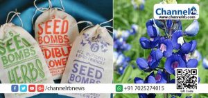 Read more about the article സീഡ് ബോംബിഗ് എന്നത് ബോംബ്‌ ഇടുന്നതല്ല; ലളിതമായ ഈ പ്രവൃത്തിയാൽ, ഓരോ സീസണിലും നമ്മുടെ ലോകത്തിന് ഒരു വൃക്ഷമെങ്കിലും സംഭാവന ചെയ്യാൻ കഴിയും