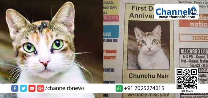 Read more about the article ആ ബന്ധത്തിന്‍റെ തീവ്രത ആര്‍ക്കും മനസിലാവില്ല, അവള്‍ ഞങ്ങളുടെ റാണി’; ‘ചുഞ്ചു നായര്‍’ക്ക് ജാതിപ്പേര് നല്‍കിയതിന് വിശദീകരണവുമായി ഉടമകള്‍