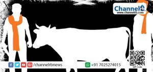 Read more about the article കന്നുകാലികളുമായി പോയ യുവാവിനെ വെടിവെച്ചു കൊന്നു; പിന്നിൽ ഗോ സംരക്ഷകരെന്ന് ആരോപണം,  കാശ്മീരിൽ നിരോധനാജ്ഞ