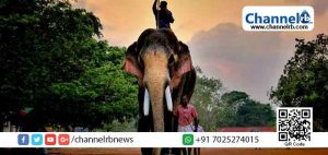 Read more about the article ആനയുടെ സ്‌നേഹം ശരിക്ക് അനുഭവിച്ചവരെ നിങ്ങള്‍ കണ്ടിട്ടുണ്ടോ? ;പൊട്ടിയ തലയോട്ടിക്ക് ഉള്ളിൽ നിന്നും ഒലിച്ചിറങ്ങുന്ന തലച്ചോറ് കണ്ടിട്ടുണ്ടോ ?; ഡോ.ജിനേഷ് പി.എസ് പറയുന്നു