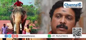 Read more about the article തെച്ചിക്കോട്ട് രാമചന്ദ്രന്‍റെ വിലക്ക്; മന്ത്രി കെ.രാജു തീരുമാനം അട്ടിമറിച്ചു: കെ.ബി ഗണേഷ് കുമാര്‍