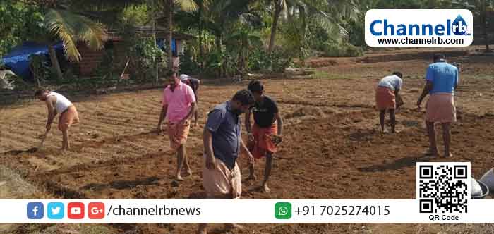 You are currently viewing ജൈവ നെല്‍ കൃഷിക്ക് വിത്തിറക്കി പുരുഷ സ്വയം സഹായ സംഘം മാതൃകയായി