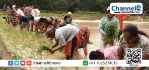 Read more about the article വ്യാപക ക്രമക്കേടുകളുമായി കേരളത്തിലെ തൊഴിലുറപ്പ് പദ്ധതി; ദേശീയ മാനദണ്ഡങ്ങൾ ഒന്നും സംസ്ഥാനത്ത് പാലിക്കപെടുന്നില്ല