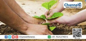 Read more about the article മലപ്പുറം ജില്ലയില്‍ ഒഴിഞ്ഞ് കിടക്കുന്ന പൊതു – സ്വകാര്യ ഭൂമികളില്‍ ഫലവൃക്ഷങ്ങളും മരങ്ങളും നടും