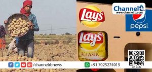 Read more about the article ബഹിഷ്‌കരണ പ്രതിഷേധം ഫലംകണ്ടു; ഉരുളക്കിഴങ്ങ് കര്‍ഷകര്‍ക്കെതിരെയുള്ള കേസ് പെപ്സികോ പിന്‍വലിച്ചു