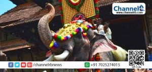 Read more about the article തെച്ചിക്കോട്ട് കാവ് രാമചന്ദ്രന്‍ അപകടമുണ്ടാക്കിയാല്‍ ഉത്തരവാദിത്തം ഏറ്റെടുക്കും: ആന ഉടമകളുടെ സംഘടന