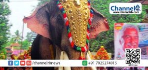 Read more about the article പൂരവിളംബരത്തിന് തെച്ചിക്കോട്ടുകാവ് രാമചന്ദ്രന്‍ എത്താന്‍ വഴിയൊരുങ്ങി; ആരോഗ്യനില തൃപ്തികരമെന്ന് മെഡിക്കല്‍ സംഘം