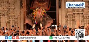 Read more about the article തെച്ചിക്കോട്ടുകാവ് രാമചന്ദ്രന്‍ ഗോപുര൦ തള്ളി തുറന്ന് പൂര വിളംബരം നടത്തി; ആശങ്കയുണര്‍ത്തി വന്‍ ജനക്കൂട്ടം