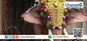 Read more about the article തൃശൂർ പൂരത്തിന് തെച്ചിക്കോട്ട്കാവ് രാമചന്ദ്രനെ എഴുന്നള്ളിക്കാനാവില്ല; വലുത് ജനങ്ങളുടെ ജീവൻ: വനംമന്ത്രി