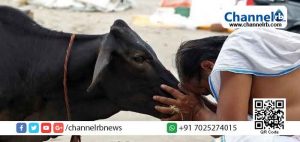 Read more about the article ബാല പീഡനങ്ങള്‍ക്കുകാരണം ആധുനിക വിദ്യാഭ്യാസമെന്ന വിചിത്ര വാദവുമായി പൂജാരി; ‘പരിഹാരം പശുപൂജ’