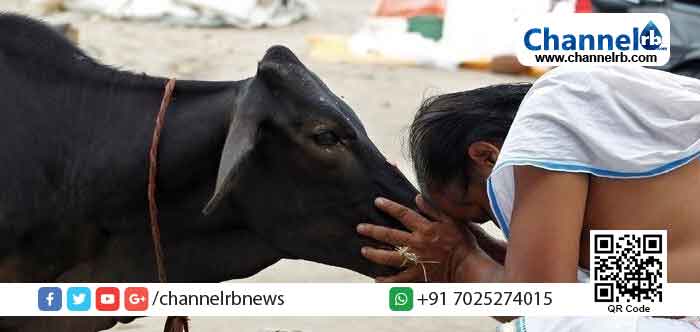 You are currently viewing ബാല പീഡനങ്ങള്‍ക്കുകാരണം ആധുനിക വിദ്യാഭ്യാസമെന്ന വിചിത്ര വാദവുമായി പൂജാരി; ‘പരിഹാരം പശുപൂജ’