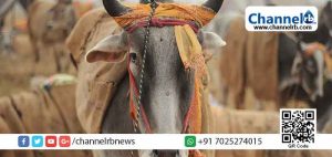 Read more about the article പശുവിനെ അപമാനിച്ചു സംസാരിച്ചു എന്ന് ബി.ജെ.പി പ്രവര്‍ത്തകന്‍റെ പരാതി; കാഞ്ഞങ്ങാട് യുവാവിനെതിരെ 153 എ പ്രകാരം പോലീസ് കേസ്