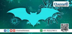 Read more about the article നിപാ വൈറസ്; വ്യാജപ്രചരണം നടത്തിയ മൂന്നുപേര്‍ക്കെതിരെ പോലീസ് കേസെടുത്തു