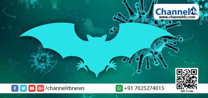 You are currently viewing നിപാ വൈറസ്; വ്യാജപ്രചരണം നടത്തിയ മൂന്നുപേര്‍ക്കെതിരെ പോലീസ് കേസെടുത്തു