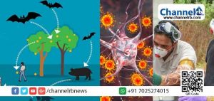 Read more about the article നിപ പ്രതിരോധം: കണ്ണൂര്‍ ജില്ലയില്‍ മുന്‍കരുതല്‍; എല്ലാ സര്‍ക്കാര്‍ ആശുപത്രികളിലും റാപ്പിഡ് റെസ്‌പോണ്‍സ് ടീം