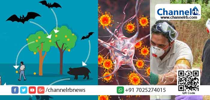 You are currently viewing നിപ പ്രതിരോധം: കണ്ണൂര്‍ ജില്ലയില്‍ മുന്‍കരുതല്‍; എല്ലാ സര്‍ക്കാര്‍ ആശുപത്രികളിലും റാപ്പിഡ് റെസ്‌പോണ്‍സ് ടീം