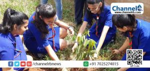 Read more about the article ബിരുദ സര്‍ട്ടിഫിക്കറ്റ് കയ്യില്‍ കിട്ടണമെങ്കില്‍ വിദ്യാര്‍ഥികള്‍ 10 മരതൈകള്‍ നടണം; കൌതുകമുണര്‍ത്തുന്ന ഉത്തരവിട്ട് ഒരു സര്‍ക്കാര്‍