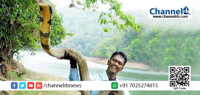 You are currently viewing വ്യക്തിപരമായ അധിക്ഷേപത്തിന് പുറമേ പാമ്പിനെ പിടിക്കുന്ന രീതിക്കെതിരെയും പഴി കേട്ടു; പാമ്പിന്‍ വിഷം വില്‍ക്കുന്നുവെന്നും ചിലര്‍ പ്രചരിപ്പിച്ചു; വാവ സുരേഷും പാമ്പ് പിടിത്തവും