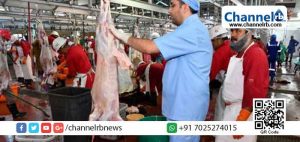 Read more about the article ബലിപെരുന്നാൾ; ആദ്യദിനംമാത്രം അബുദാബിയിൽ അറക്കുന്നത് എണ്ണായിരത്തിലധികം മൃഗങ്ങളെ