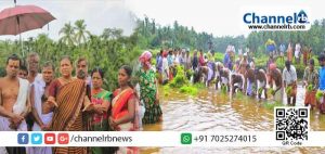 Read more about the article വയനാട്ട് കുലവൻ തെയ്യം കെട്ടിന് ജനകീയ കൂട്ടായ്മയിൽ നെൽക്കൃഷിയിറക്കി