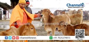 Read more about the article പശുകളെ പുനരധിവസിപ്പിക്കാൻ പദ്ധതിയുമായി യു.പി സർക്കാർ;  കാലിത്തീറ്റ വാങ്ങാന്‍ ദിവസവും 30 രൂപ