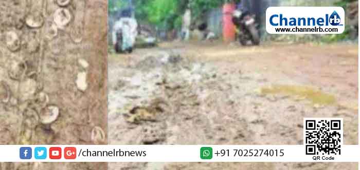 You are currently viewing റോഡ് തകര്‍ന്നപ്പോള്‍ പുറത്തുവന്നത് ഗര്‍ഭ നിരോധന ഉറകൾ; ചവിട്ടാതെ നടക്കാനാവാതെ നാട്ടുകാര്‍; സംഭവം തിരുവനന്തപുരത്ത്