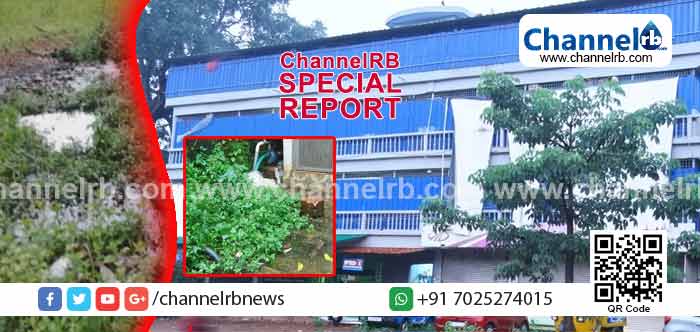 You are currently viewing കക്കൂസ് മാലിന്യം അലക്ഷ്യമായി ഒഴുക്കിവിട്ട് ഇതര സംസ്ഥാന തൊഴിലാളികൾ താമസിക്കുന്ന കാസർകോട്ടെ സ്വകാര്യ സ്ഥാപനം; ദുര്‍ഗന്ധം സഹിച്ച് സമീപത്തെ വീട്ടുകാരും കച്ചവടക്കാരും; രോഗം പടരുന്നതിന് മുന്നേ അധികാരികൾ കണ്ണ് തുറക്കുമോ..?
