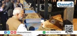 Read more about the article കന്നുകാലികളെ വളര്‍ത്തുന്നവര്‍ക്ക് സന്തോഷവാര്‍ത്തയുമായി കേന്ദ്രസര്‍ക്കാര്‍; ചാണകത്തിന്‍റെയും ഗോമൂത്രത്തിന്‍റെയും വാണിജ്യ സാധ്യതകള്‍ തുറക്കാന്‍ 500 കോടി രൂപയുടെ സ്‌റ്റാര്‍ട്ടപ്പ് പദ്ധതി പ്രഖ്യാപിച്ചു