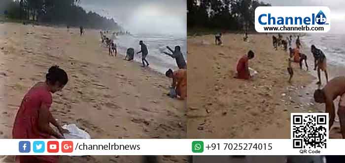 You are currently viewing കാഞ്ഞങ്ങാട് കടപ്പുറത്ത് തിരമാലയിറങ്ങിയപ്പോൾ കണ്ടത് കിലോമീറ്ററുകളോളം നീളത്തിൽ മത്തിയുടെ ചാകര; അറിഞ്ഞും കേട്ടും എത്തിയവര്‍ക്കെല്ലാം കടലിന്‍റെ സമ്മാനം ആവോളം