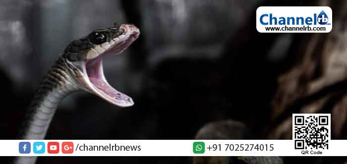 Read more about the article കൊവിഡ് രോഗമുക്തനായി വീട്ടിലെത്തി പൂന്തോട്ടത്തില്‍ ഇരുന്ന കൗണ്‍സിലറെ പാമ്പു കടിച്ചു