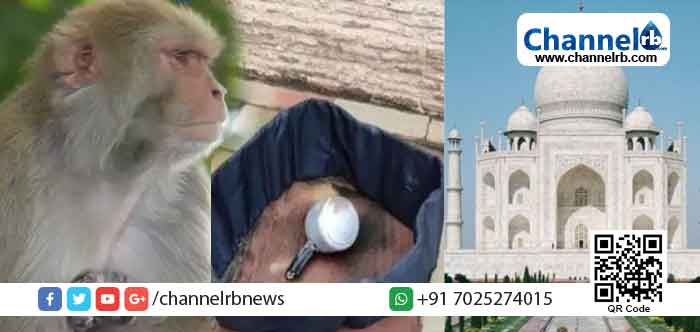 You are currently viewing ഉപേക്ഷിച്ച നിലയില്‍ പ്രഷര്‍ കുക്കര്‍; താജ് മഹല്‍ പരിസരത്ത് മണിക്കൂറുകള്‍ നീണ്ട ദുരൂഹത; സ്ഫോടകവസ്തുക്കളുണ്ടെന്ന് ഡിറ്റക്ടര്‍ സ്ഥിരീകരണം; ഒടുവിൽ സംഭവിച്ചത്