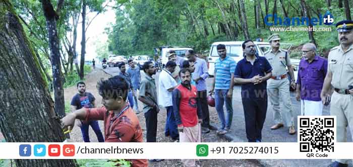 You are currently viewing അതി രാവിലെ സ്ഥലം സന്ദർശിച്ച ജില്ലാ കലക്ടർ ഓരോ മരങ്ങളും ചൂണ്ടി കാണിച്ചു; വിവിധ വകുപ്പ് ഉദ്യോഗസ്ഥർ സഹകരിച്ചതോടെ നടപ്പിലായത് നാട്ടുകാരുടെ ഏറെ നാളത്തെ ആവശ്യം; ചെർക്കള – ജാൽസൂർ റോഡരികിലുള്ള അപകടത്തിലയ മരങ്ങൾക്ക് കോടാലി വീണത് ഇങ്ങനെ..